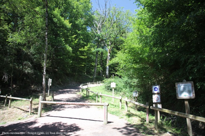 Circuit touristique en forêt de Mervent